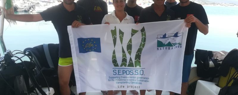 Activity Life SEPOSSO: surveys 2019 on S. Marinella transplantation
