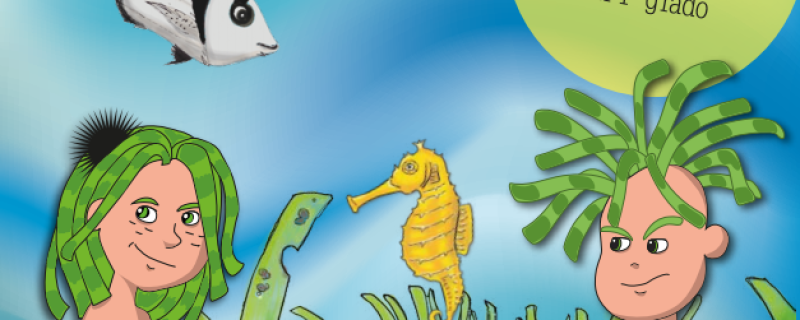 Presentation of SEPOSSO Educational Kit