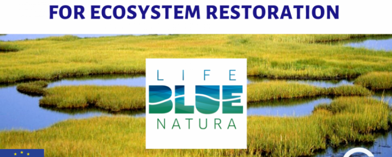 Participation in the “Training workshop in coastal wetlands and seagrass meadows restoration, based in Blue Carbon actions” workshop