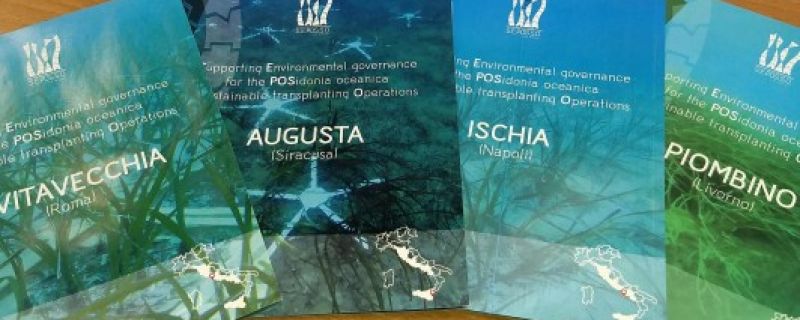 Milestone action A.3 achieved: “Transplants of Posidonia oceanica: analysis of case studies”