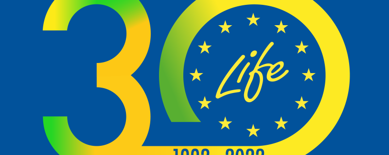 LIFE is 30! with Life SEPOSSO