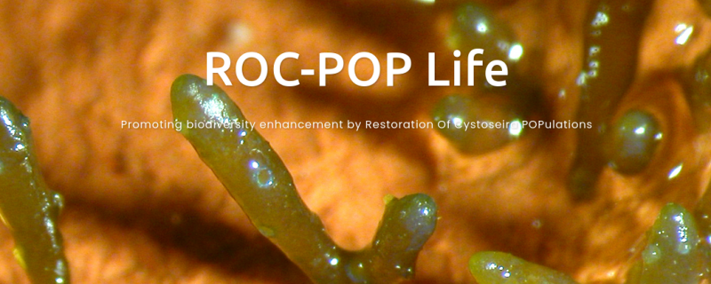 Life SEPOSSO at the Life ROC-POP Final Meeting