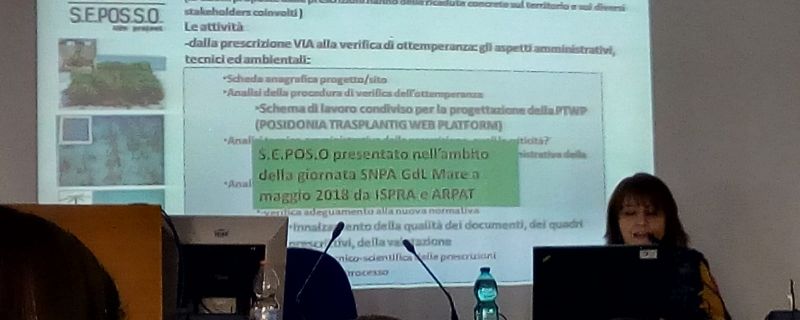 Workshop at ISPRA “La Valutazione di Impatto Ambientale”