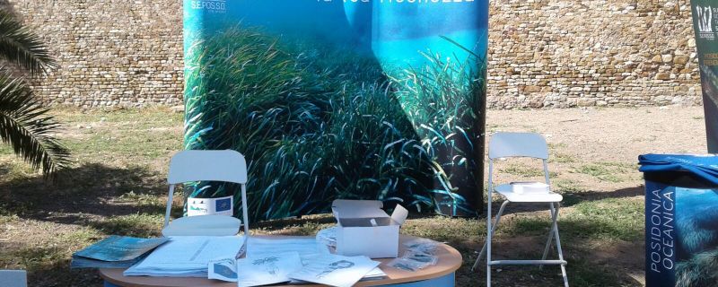 Civic events in Civitavecchia (RM) and Santa Severa (RM), Lazio