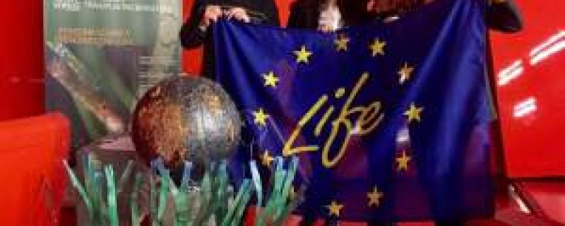 MACRO museum, art, science and  Life SEPOSSO