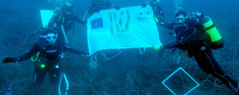 Life SEPOSSO monitoraggio sul trapianto con RES MARIS a Villasimius (CA)