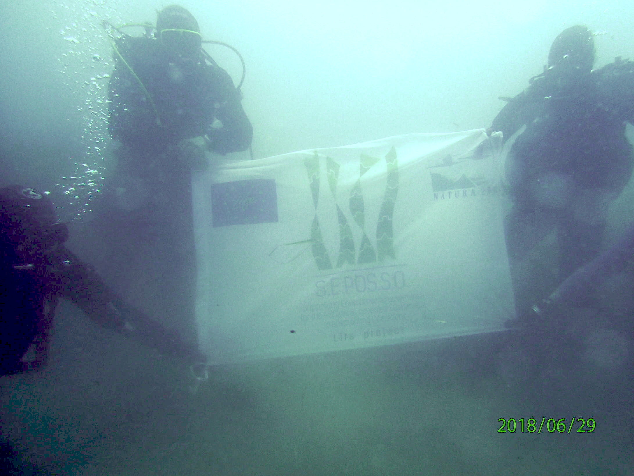 Field activities: scuba diving surveys on transplantation at Santa Marinella (RM), Lazio