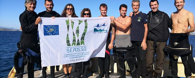 Reached milestone for Action B.2: “Completion of field activities on Posidonia transplant performance”