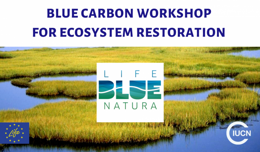 Participation in the “Training workshop in coastal wetlands and seagrass meadows restoration, based in Blue Carbon actions” workshop