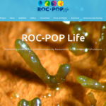 Life SEPOSSO at the Life ROC-POP Final Meeting