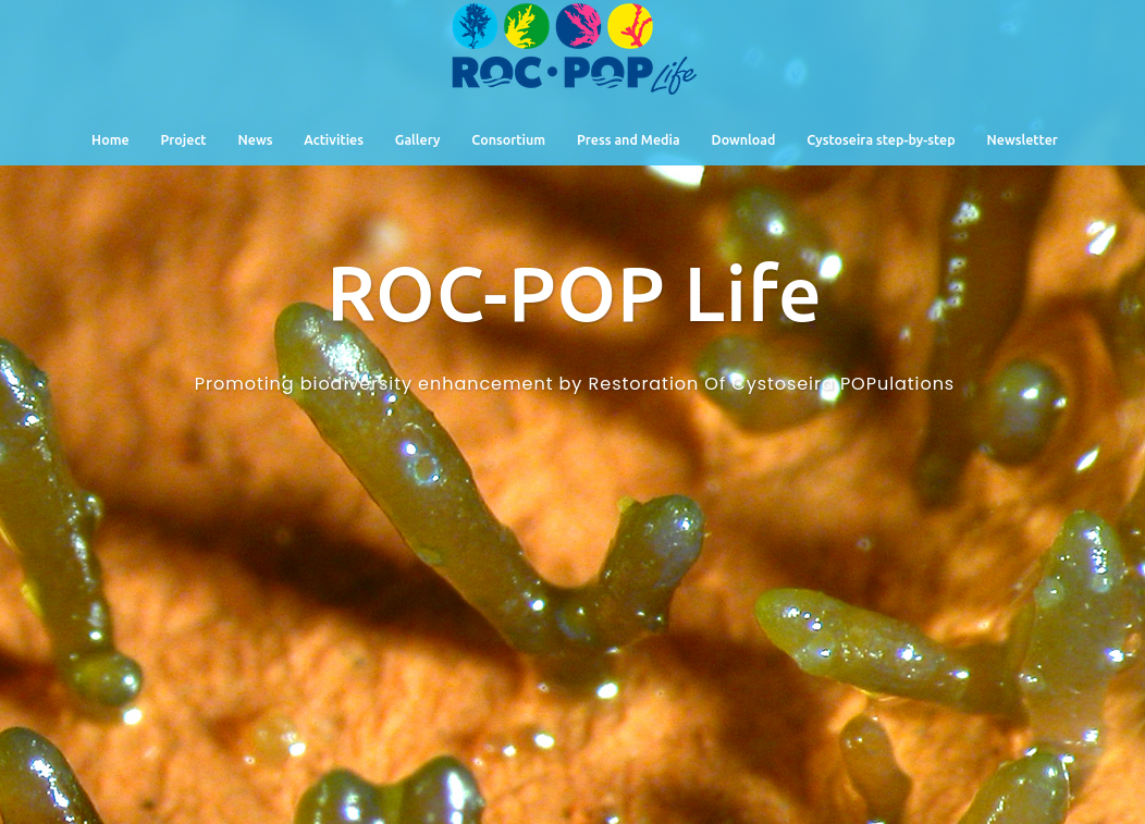 Life SEPOSSO at the Life ROC-POP Final Meeting